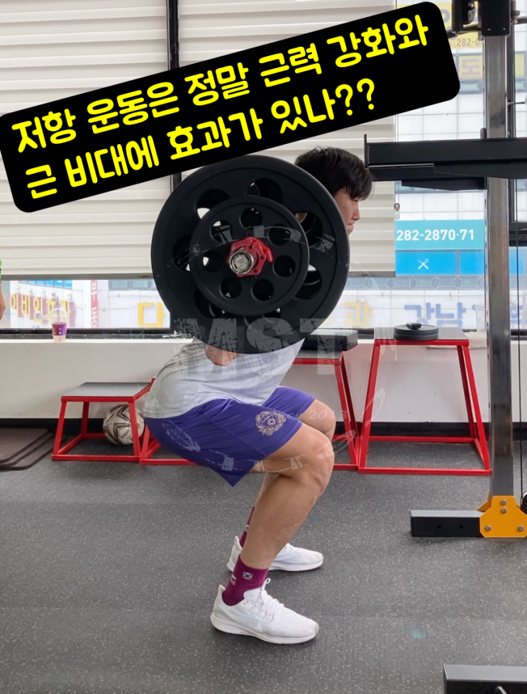  근력 강화와 근 비대를 위한 최적의 저항 운동 프로그램은??