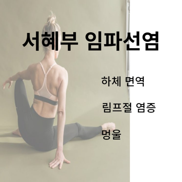  서혜부 임파선염 멍울 치료법 수술