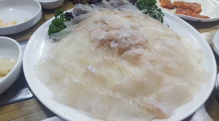  민가원 9월부터 제철 광어