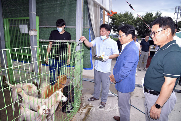  향후 반려동물 복지시설 조성 시 광주동물보호소 이전