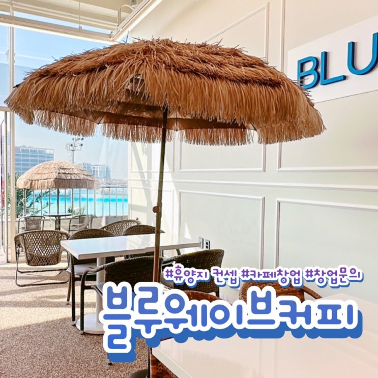  소자본 카페 창업 비용은? 개인카페 vs 프랜차이즈 블루웨이브 커피