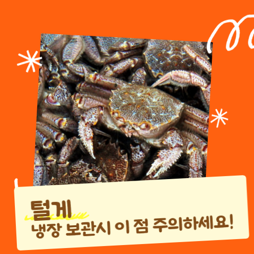  노량진 털게 보관방법 냉장보관시 주의사항