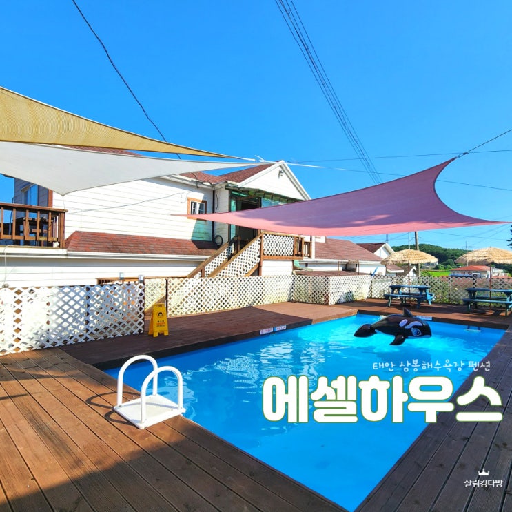  태안 수영장펜션 삼봉해수욕장펜션, 에셀하우스 리뷰