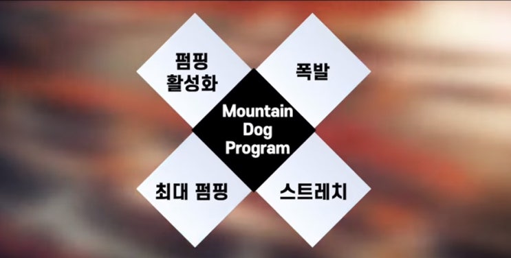  본격 2분할 운동루틴 존 메도우의 마운틴도그 프로그램