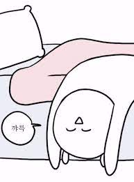  뒤죽박죽 일상이요