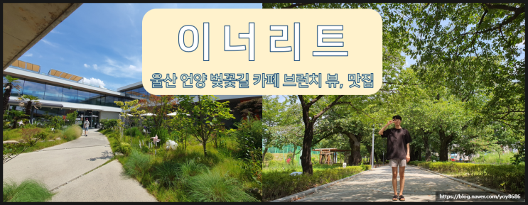  울산 언양 벚꽃길 카페 이너리트 브런치 뷰맛집 내돈내산