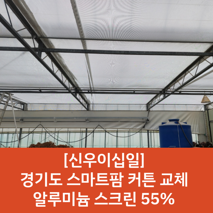  [경기도 스마트팜 시공] 스마트팜 커튼교체 / 스마트팜 양끈 수평커튼 / 스마트팜 커튼시공 / 비닐하우스 커튼 시공 / 수평커튼 / 양끈 수평 커튼 / 다육이농장 스마트팜