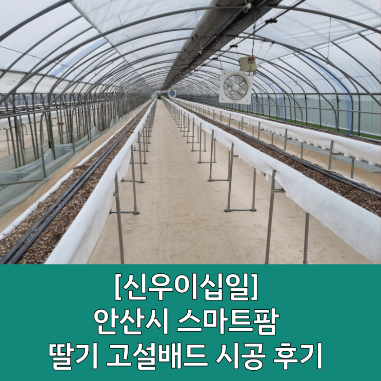  [안산시 스마트팜] 스마트팜 농장 시공 사례 / 스마트팜 고설배드 설치 / 고설배드 양액재배 / 양액기 설치 / 스마트팜 설계 / 스마트팜 설치 / 경기도 스마트팜 / 화성농자재