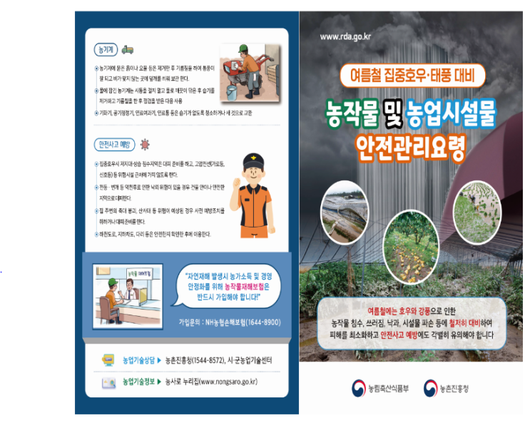 제6호 태풍 ‘카눈’ 북상…농작물·농업시설물 피해 줄이려면 제6호 태풍 ‘카눈’ 북상…농작물·농업시설물 피해 줄이려면