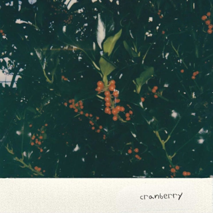 LEVENUE(레베뉴) - Cranberry [노래가사, 듣기, MV]
