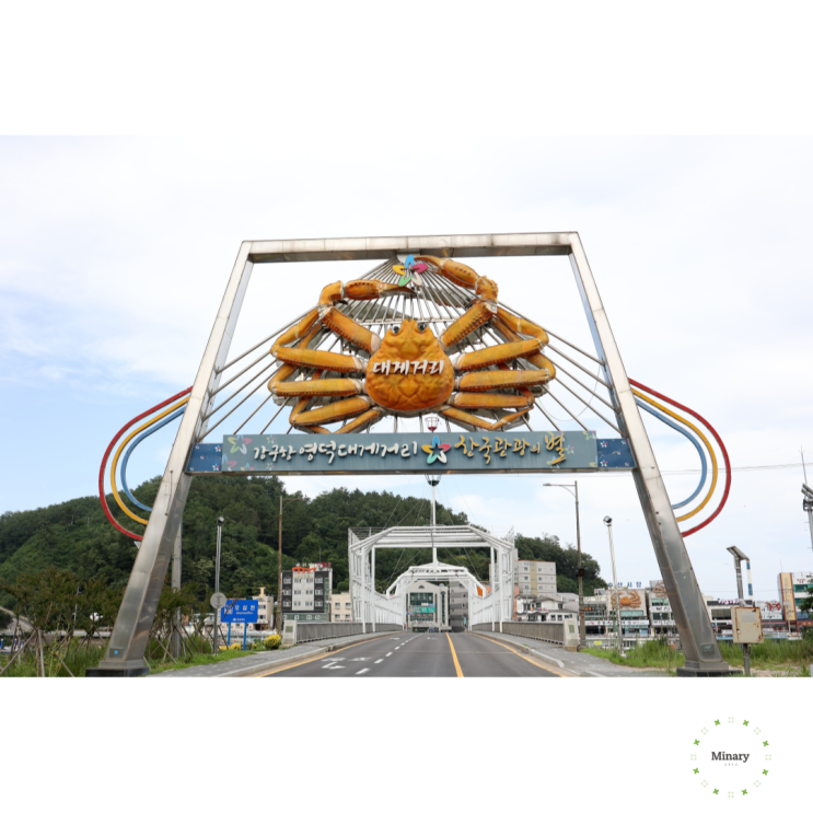  영덕가성비맛집 강구항 대게거리 입소문난 착한대게