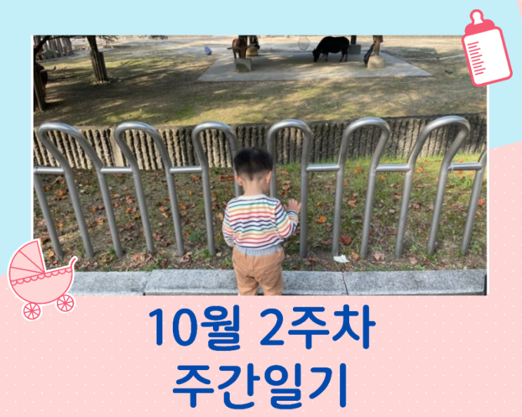  10월 2주차 주간일기