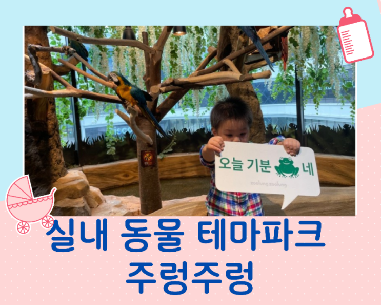  아이와 갈만한곳 주렁주렁 실내 동물테마파크/할인정보/주차정보
