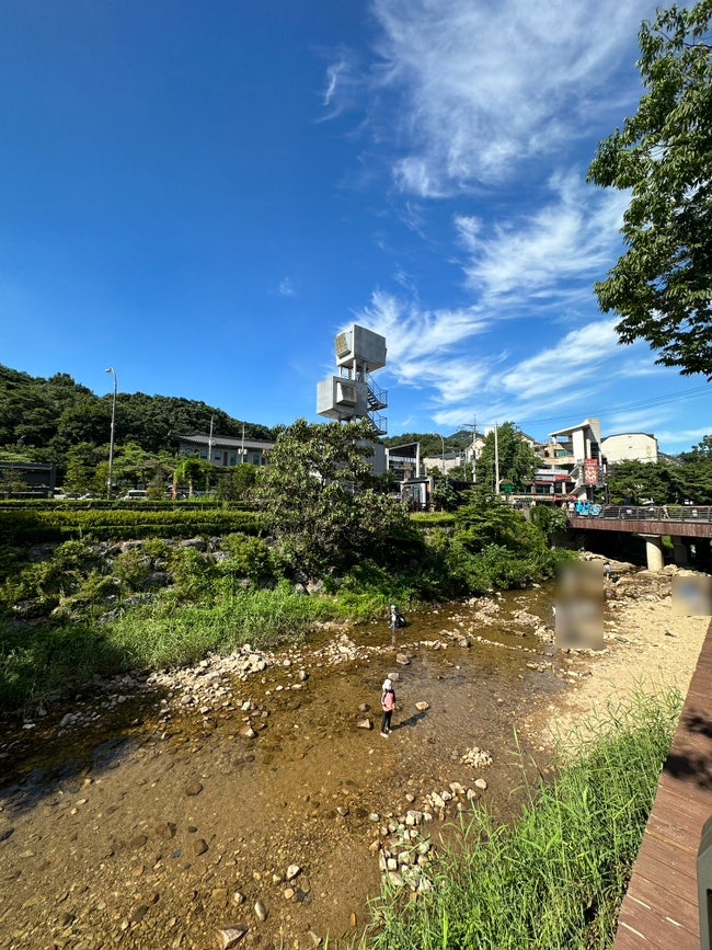 안양예술공원 유원지 계곡, 서울에서 가까운 청정 계곡 추천!