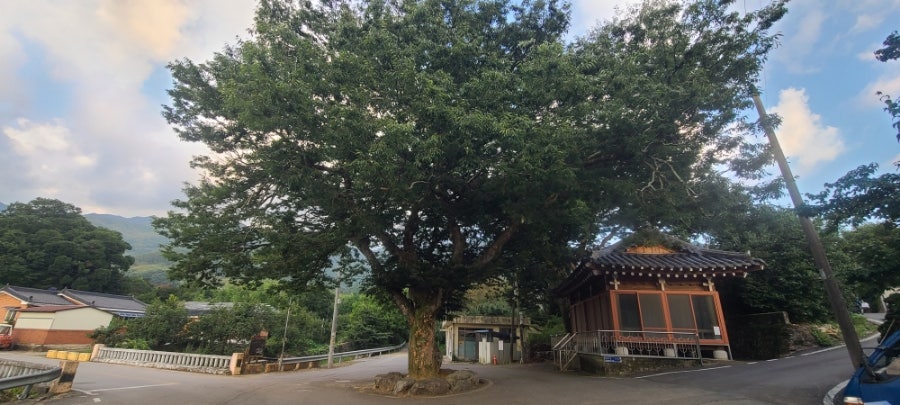 중동구판장 사진 6