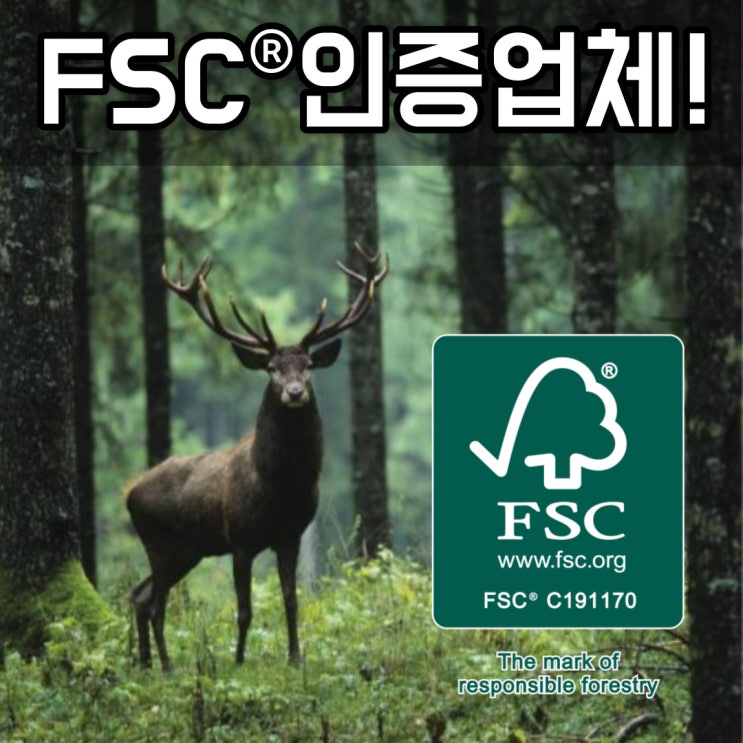 FSC 공식 인증 취득! 친환경패키지를 제작합니다