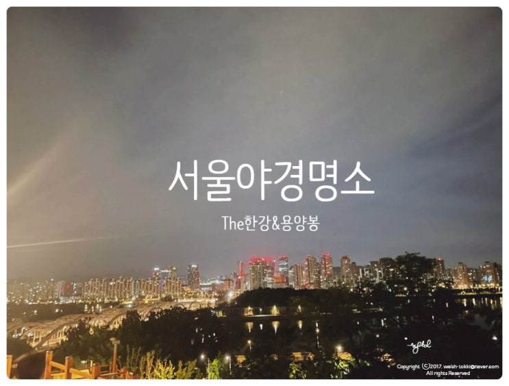 서울 야경 명소 :: The한강, 용양봉저정공원