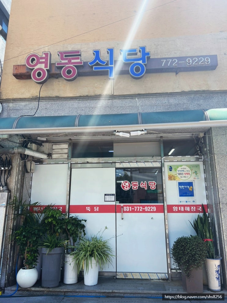 [양평/감자탕] 용문역 근처 감자탕집은 이곳, 영동식당