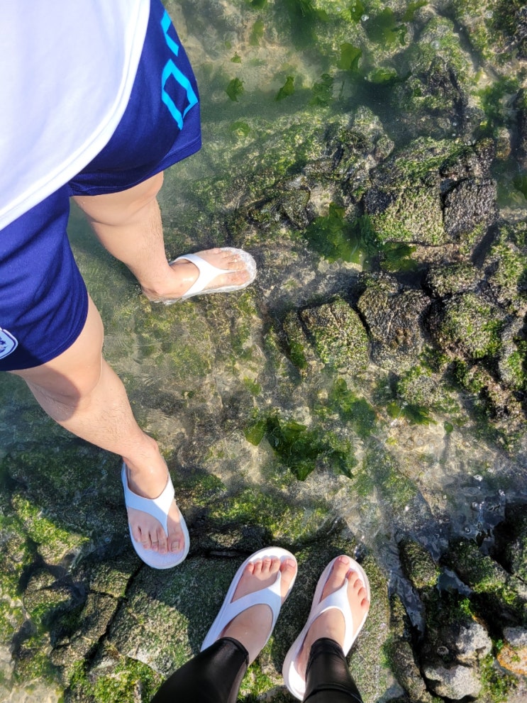  제주도 여행 포스팅을 마치며, 제주도 가볼만한 곳 정리