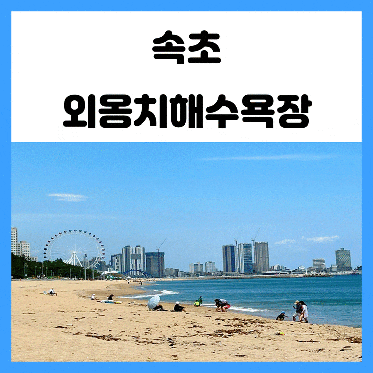 속초 강아지 동반 여행 외옹치해수욕장 산책 속초 강아지 동반 여행 외옹치해수욕장 산책
