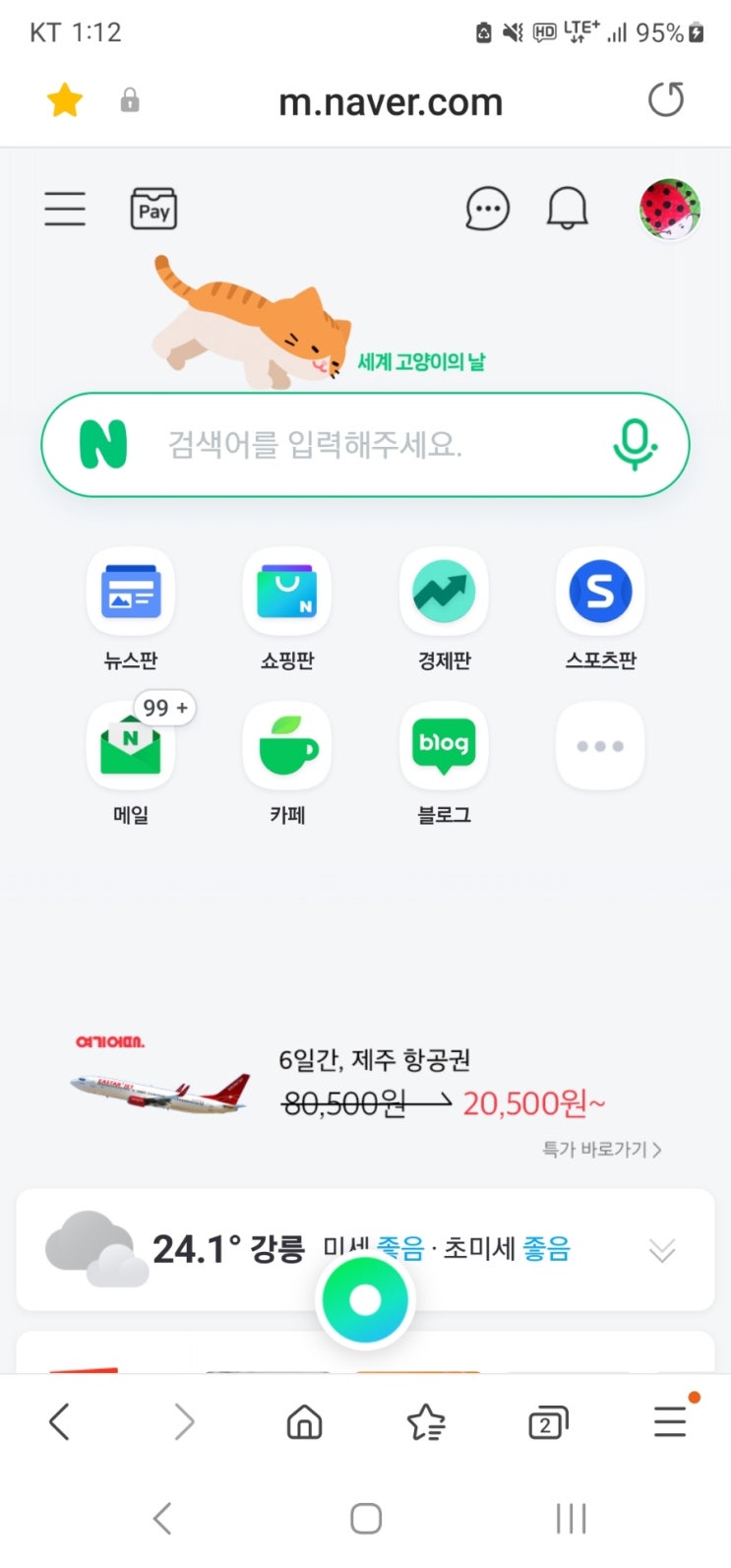  오늘은 세계 고양이의 날 !