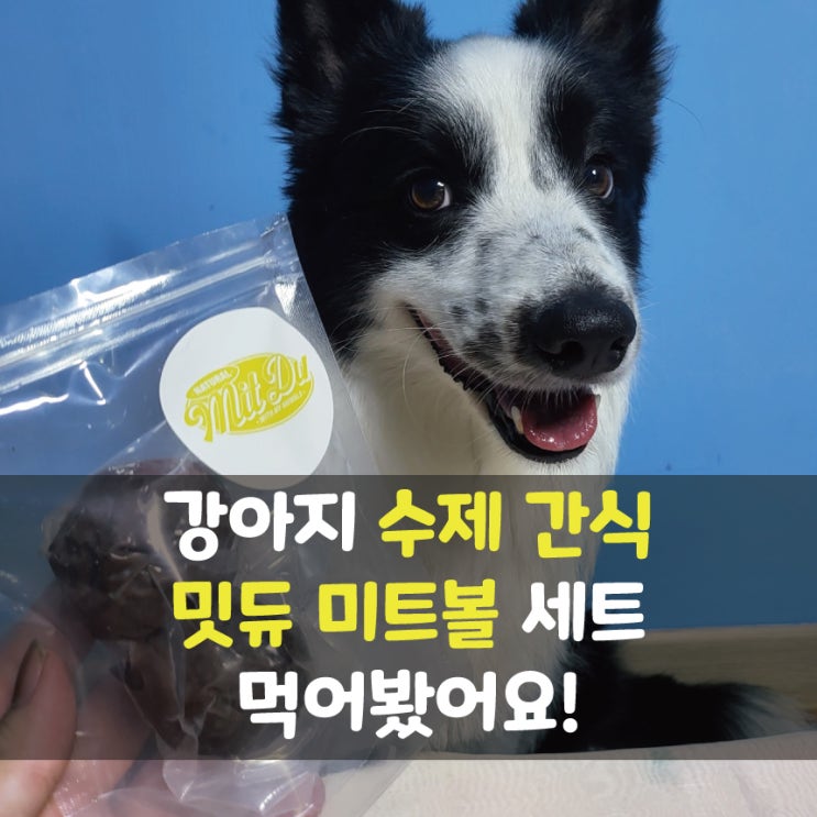 강아지 수제 특식 겸 간식, 밋듀 '미트볼 세트' 먹어봤어요!