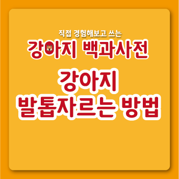  강아지 셀프 발톱 깎는 법, 반려견 보호자님들 꼭 보세요! #self #강아지 발톱 깎는 법