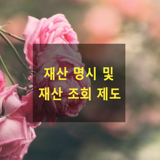  이혼 재산분할 - 재산 명시 및 재산 조회 제도