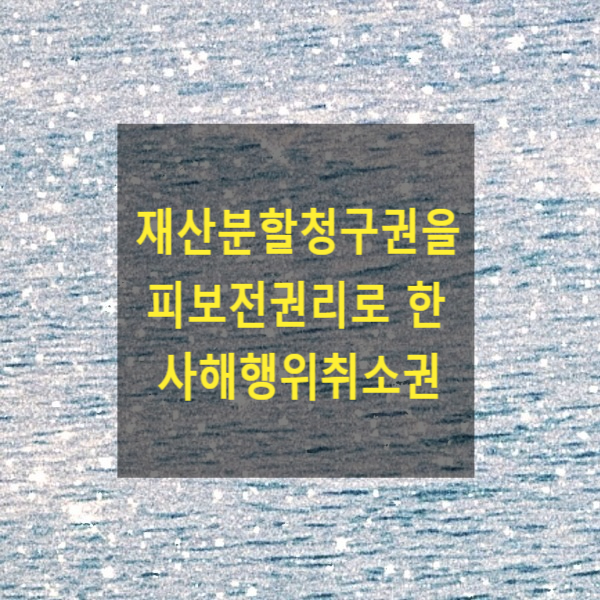  이혼 시 재산분할청구권을 피보전권리로 하는 사해행위취소권