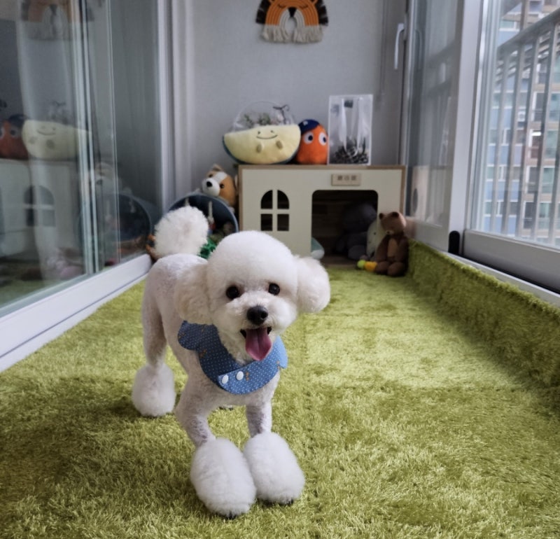 사진 3