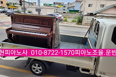 돌체음악학원 이미지