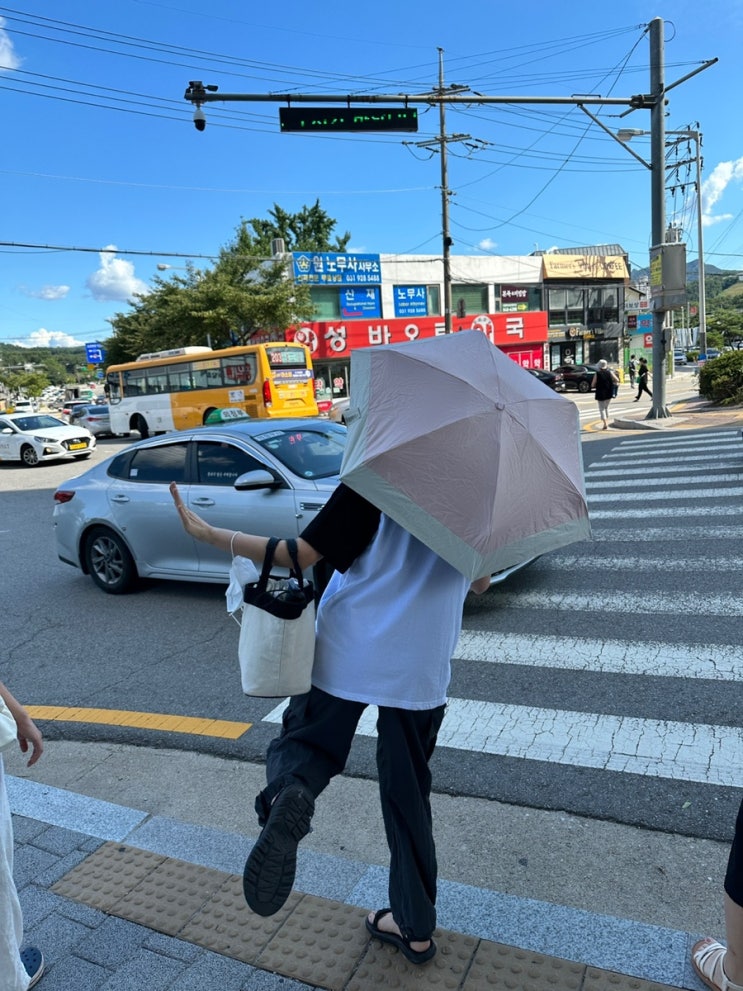  2023.08.15 콩이의 근황