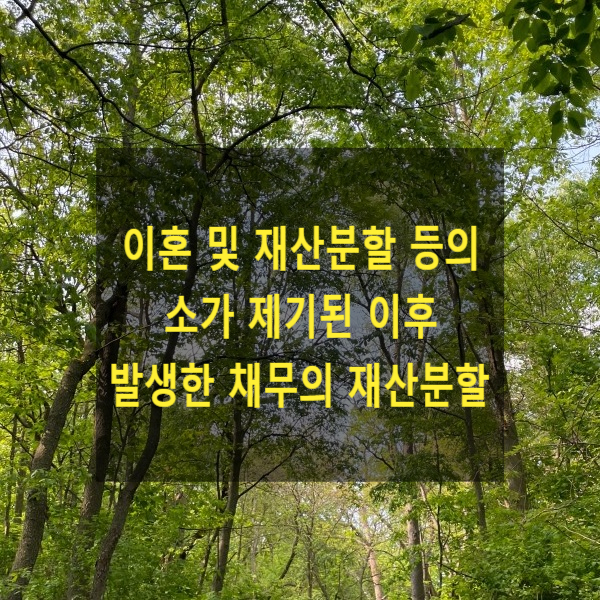  이혼 및 재산분할 등의 소가 제기된 이후 채무가 발생한 경우, 이러한 채무도 분할의 대상이 되는지
