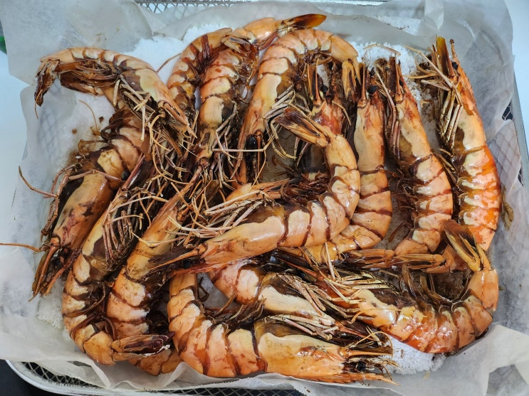  집밥 타이거새우 에어프라이기 굽굽