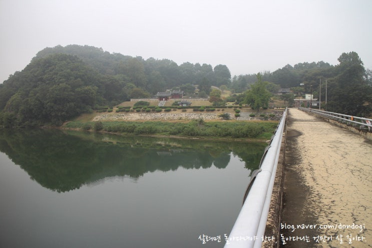  괴산 충민사 - 삼도천을 건너듯 괴강을 건너서 받은 오리, 은행나무, 거미의 경고