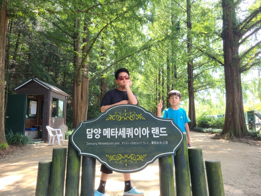 수목길 사진 6