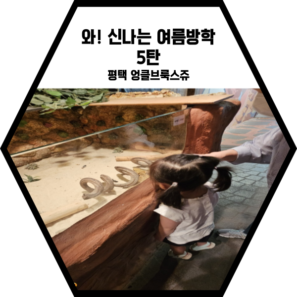  와~~ 신나는 여름방학!!(5탄)
