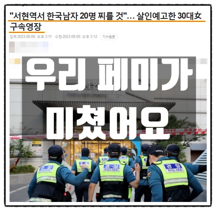  서현역 금요일 한남 20명 찌르러간다 디시인사이드 살인예고 30대페미 여성 구속영장