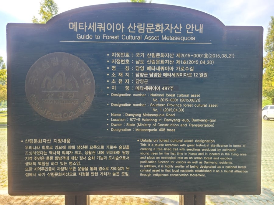 수목길 사진 3