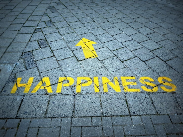 행복의 대용품 the substitutes for happiness 행복의 대용품 the substitutes for happiness
