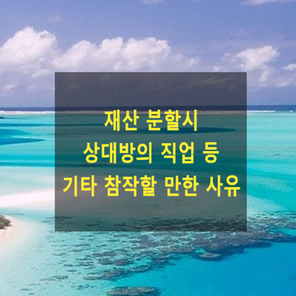  이혼 재산 분할시 상대방의 직업 등 기타 참작할 만한 사유(일방의 희생으로 좋은 직업을 가진 경우)