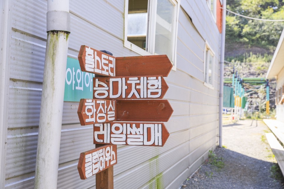홀스파크 사진 6