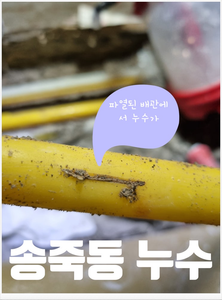  송죽동 누수탐지 3년 만에 찾은 미세 누수
