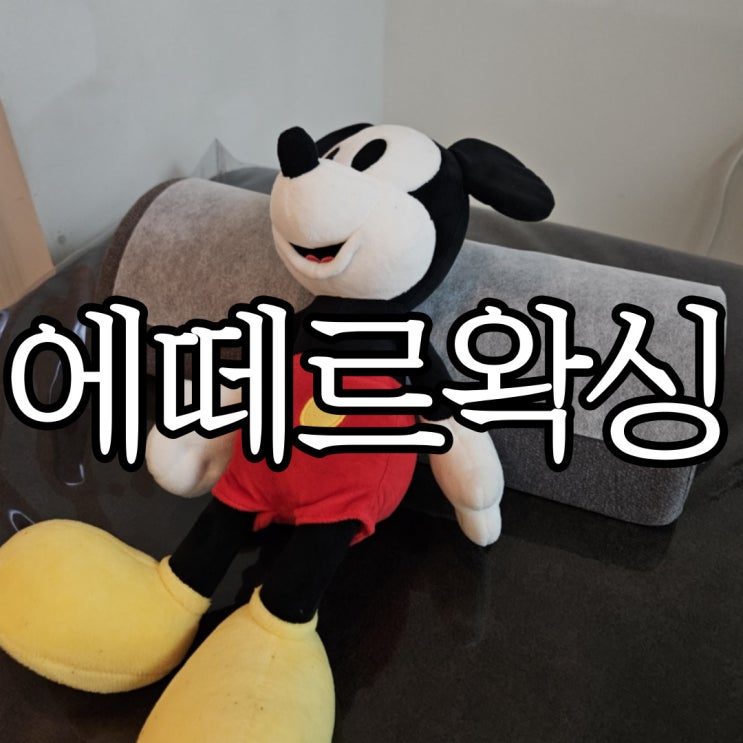  창원성산구상남동 브라질리언 왁싱 에떼르왁싱 창원점 내돈내산후기
