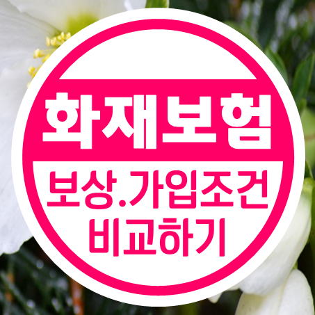  아파트화재보험추천 보상 금액 가입조건 등 아파트화재보험비교 꼼꼼하게 알아보세요.
