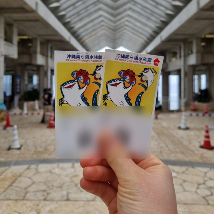  오키나와 츄라우미 수족관 리뷰 :: 지도, 돌고래쇼 시간, 내부/외부