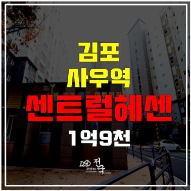 김포경매 김포센트럴헤센 1억 9천, 사우역