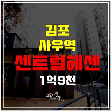 김포경매 김포센트럴헤센 1억 9천, 사우역 김포경매 김포센트럴헤센 1억 9천, 사우역