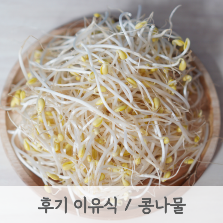 [후기이유식] 콩나물 큐브 만드는 방법 (콩나물토핑, 토핑이유식, 베이비무브)