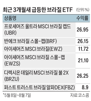 브라질 ETF, 수익률 급등